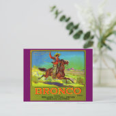 Etiket Bronco fruit uit de jaren 1920 Briefkaart (Staand voorkant)