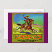Etiket Bronco fruit uit de jaren 1920 Briefkaart (Voorkant / Achterkant)
