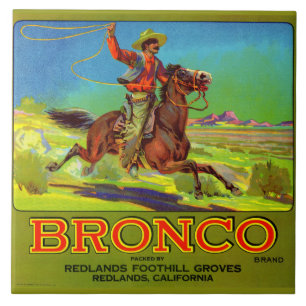 Etiket Bronco fruit uit de jaren 1920 Tegeltje