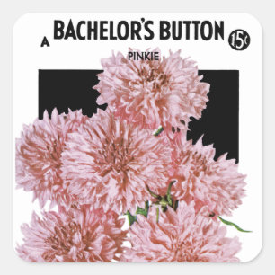 Etiket Button van de bachelor