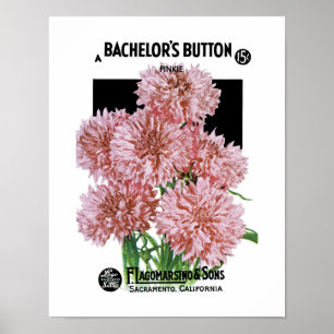 Etiket Button van de bachelor Poster