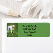 Etiket doos (Insitu)