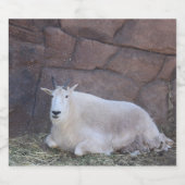 Etiket geit flesje (Enkel label)