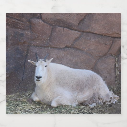 Etiket geit flesje (Enkel label)