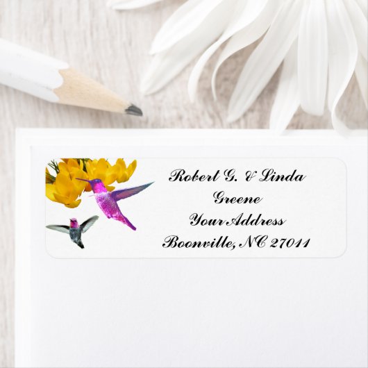 ETIKET HUMMINGBIRDS (Insitu)