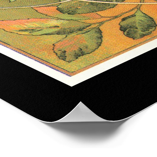  etiket imperiale stekkers poster (Hoek)