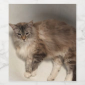 Etiket kattenflesje (Enkel label)