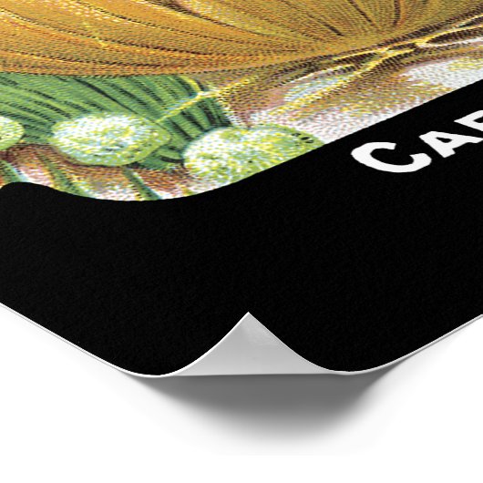 Etiket nionzaadverpakking poster (Hoek)