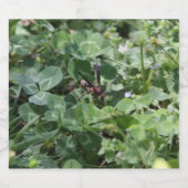 Etiket op flesje Wasp (Enkel label)