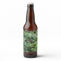 Etiket op flesje Wasp