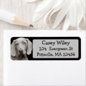 Etiket op persoonlijk adres of op maat gesneden ad (Insitu)