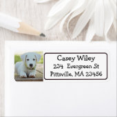 Etiket op persoonlijk adres of op maat gesneden ad (Insitu)