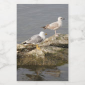 Etiket op Rock Food Container (Enkel label)