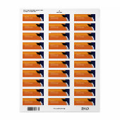 Etiket Oranje en blauw Afstuderen (Full Sheet)