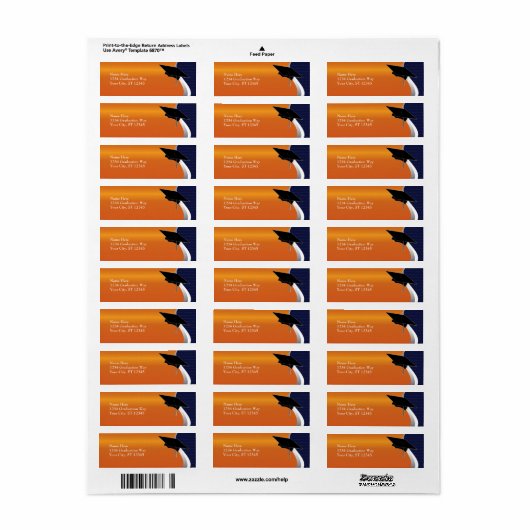 Etiket Oranje en blauw Afstuderen (Full Sheet)