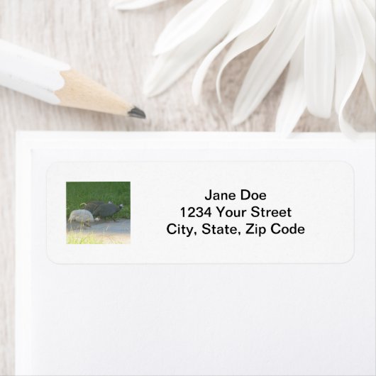 Etiket parelhoen (Insitu)