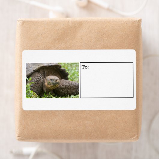 Etiket reuzenschildpad (Insitu)