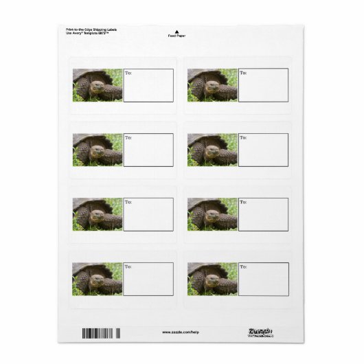 Etiket reuzenschildpad (Full Sheet)