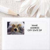 ETIKET "SHY OTTER" (Insitu)