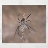 Etiket spinfles (Enkel label)