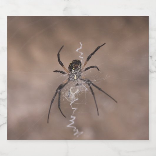 Etiket spinfles (Enkel label)