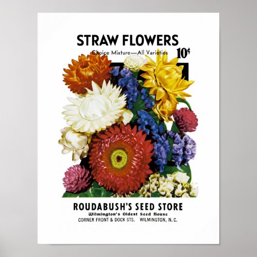Etiket stro Flowers Seed Packet Label Poster (Voorkant)