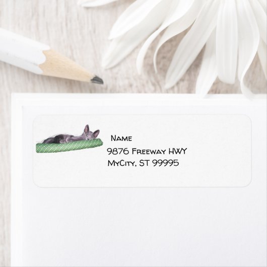 Etiket - Terugkeer - Russisch Blauw Kitten (Insitu)