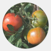 Etiket tomaat (Voorkant)
