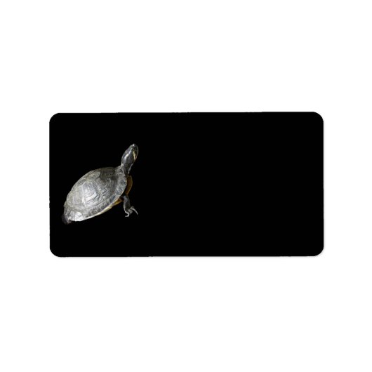Etiket Turtle Address Label (Voorkant)