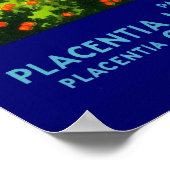 Etiket van 1930 op fruitkratten Shamrock Navel Sin Poster (Hoek)