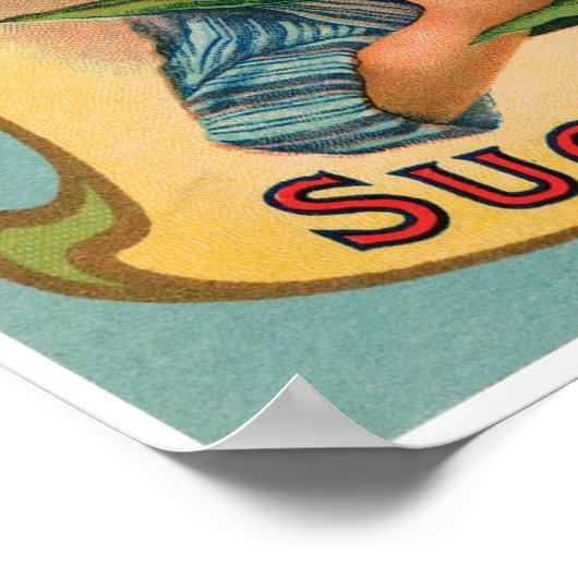  etiket van de suikermaïs poster (Hoek)