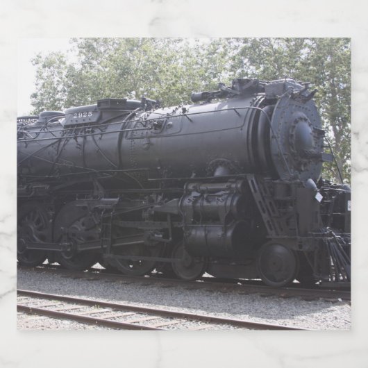 Etiket van de trein van de stoommotor (Enkel label)