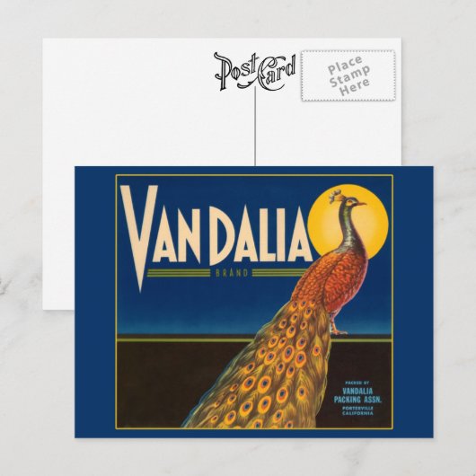  etiket van pacock-fruitkratten briefkaart (Voorkant / Achterkant)