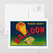 Etiket voor ballonkruid briefkaart (Voorkant / Achterkant)