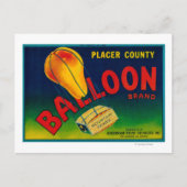 Etiket voor ballonkruid briefkaart (Voorkant)