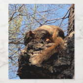 Etiket voor eekhoorntjes (Enkel label)