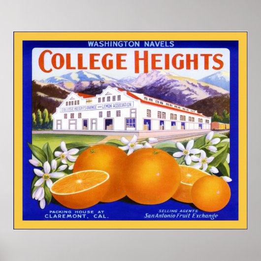 Etiket voor  fruit poster (Voorkant)