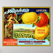 Etiket voor  fruit poster (Voorkant)