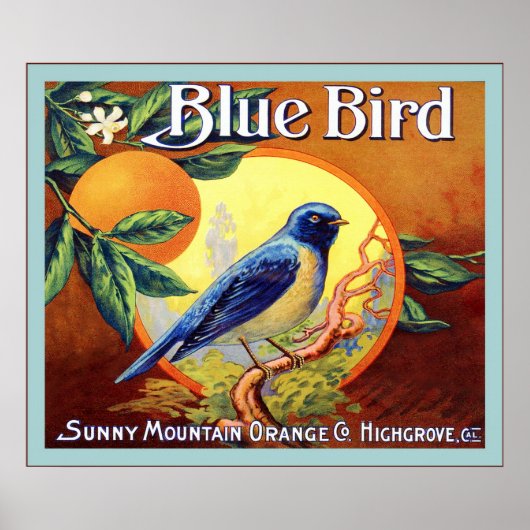 Etiket voor  fruit poster (Voorkant)