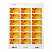 ETIKET VOOR "GEEL ROSE" PLATTELAND (Full Sheet)