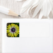 Etiket voor gele bloem (Insitu)
