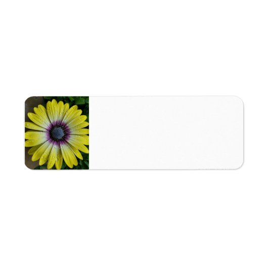 Etiket voor gele bloem (Voorkant)