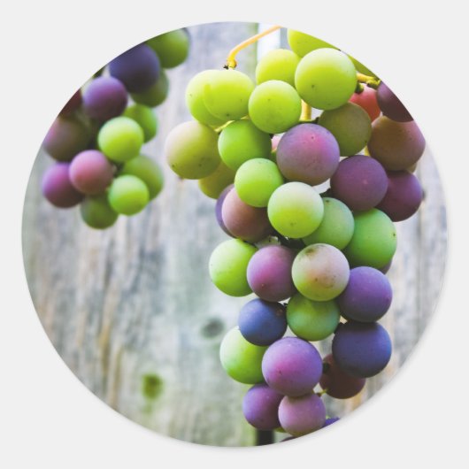 Etiket voor het inblikken van druivenjam (Voorkant)