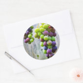 Etiket voor het inblikken van druivenjam (Envelop)