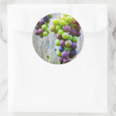 Etiket voor het inblikken van druivenjam (Tas)