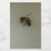 Etiket voor Honeybee Food Container (Enkel label)