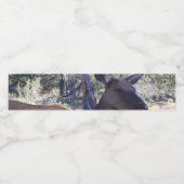 Etiket voor los flesje (Enkel label)