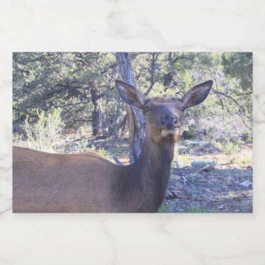 Etiket voor los flesje (Enkel label)