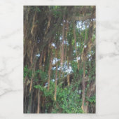 Etiket voor Mangrove Food Container (Enkel label)