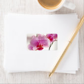 Etiket voor orchidee bloem (Insitu)